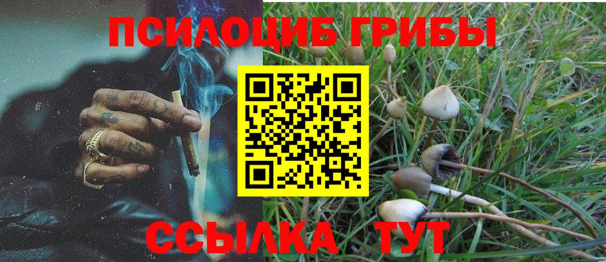 магазин продажи наркотиков  Галлюциногенные грибы прущие грибы  Вход с VPN  Галлюциногенные грибы Cubensis  Коммунар 