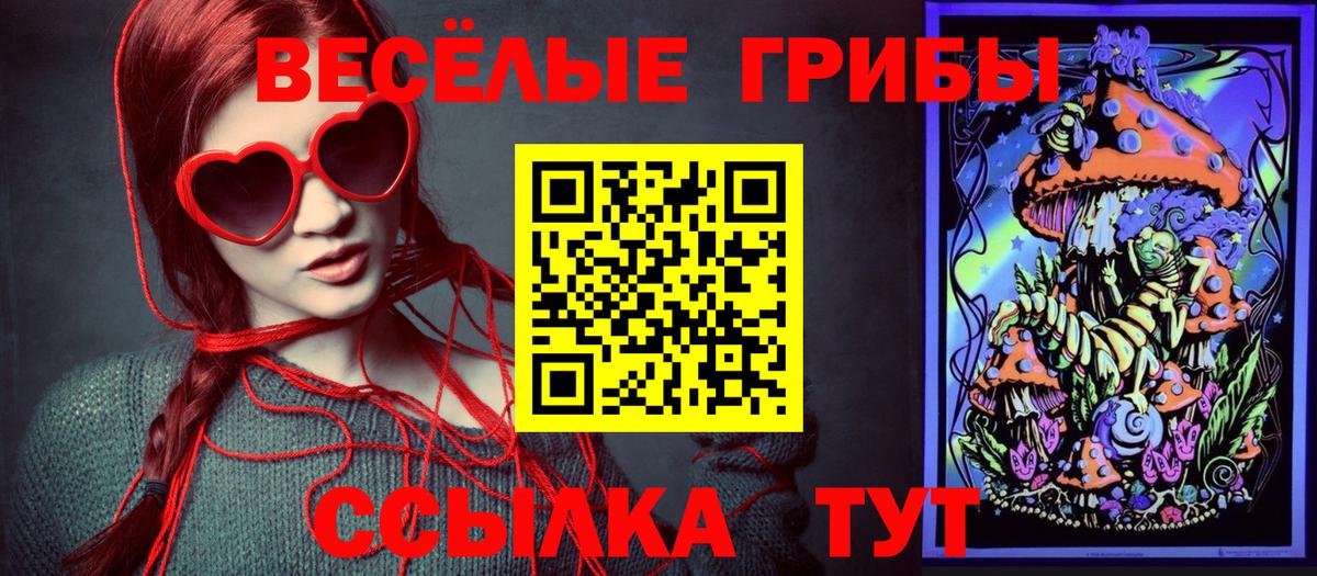 Псилоцибиновые грибы Psilocybe Коммунар